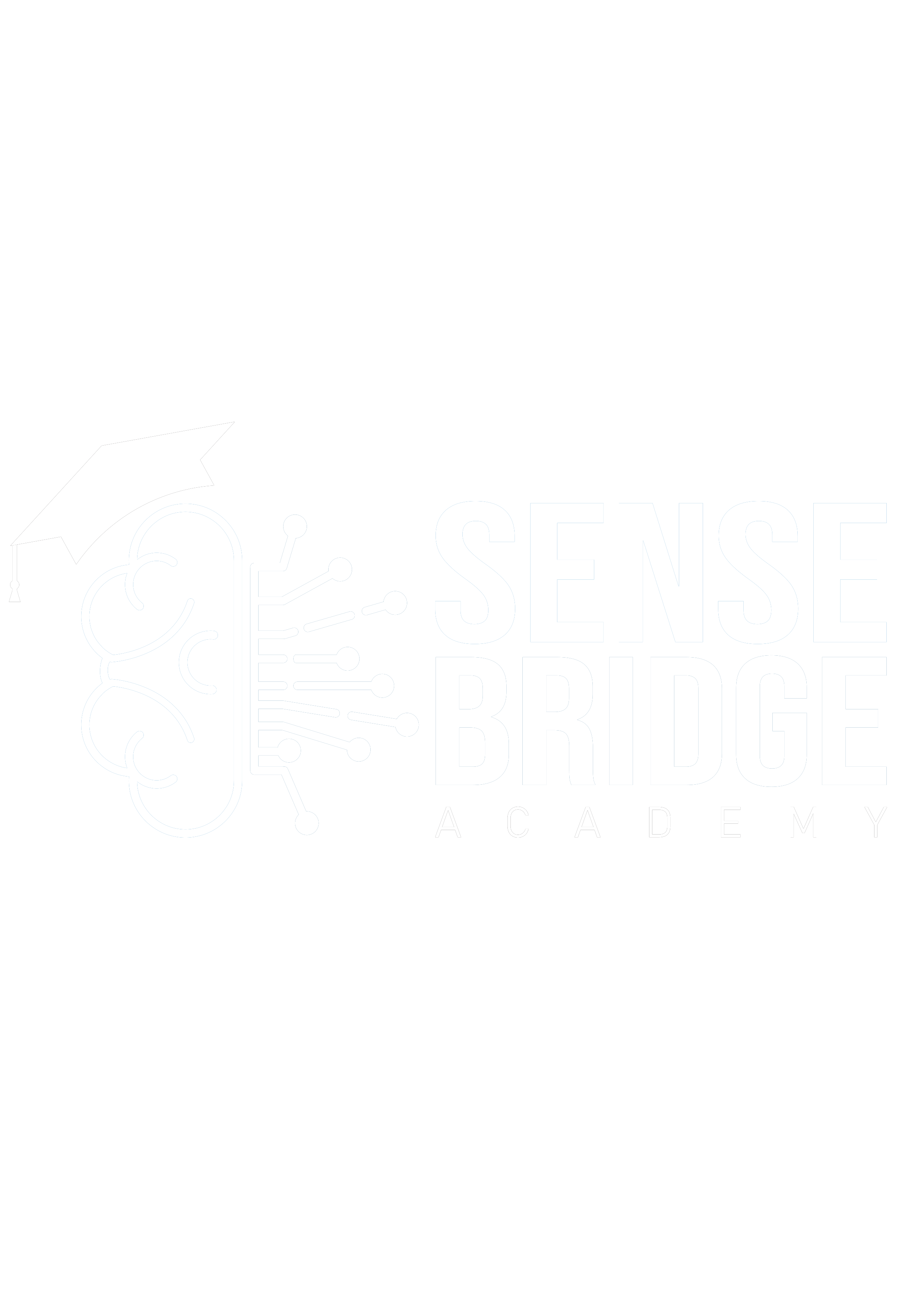 sensebridgeacademy.com